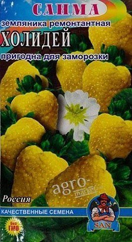 Земляника "Холидей" ТМ "САНМА" 90-110шт