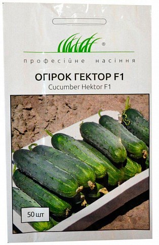 Огірок "Гектор F1" ТМ "Hem Zaden" 50шт