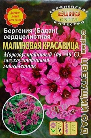 Бергения "Малиновая красавица" ТМ "АЭЛИТА" 5шт