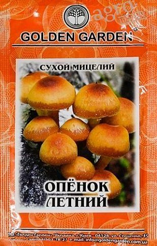 Сухий міцелій "Опеньок літній" ТМ "Golden Garden" 10г