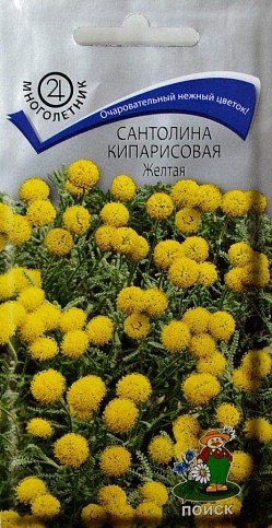 Сантолина "Кипарисовая Желтая" ТМ "Поиск" 0.02г