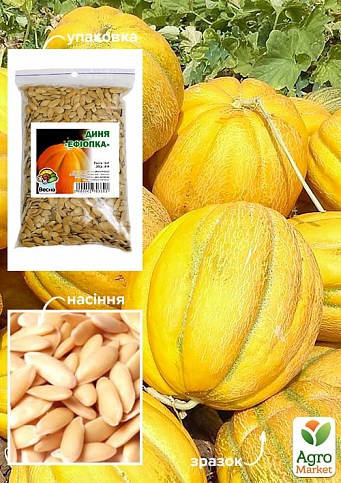 Дыня "Эфиопка" ТМ "Весна" 100г