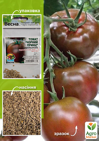 Томат "Черный принц" (Зипер) ТМ "Весна" 0.5г