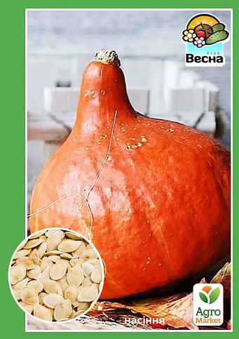 Тыква "Кэнди Свит" (Большой пакет) ТМ "Весна" 5г