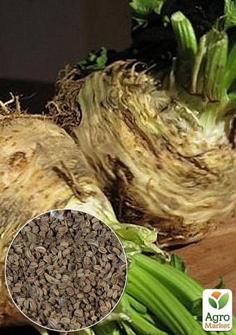 На развес Сельдерей корневой "Анита" ТМ "Весна" цена за 2г