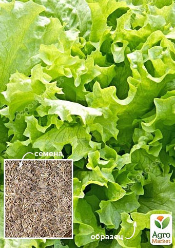 На развес Салат "Традиция" ТМ "Весна" цена за 8г