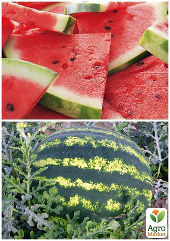 На развес Арбуз "Княжич" ТМ "Весна" цена за 6г - фото 4