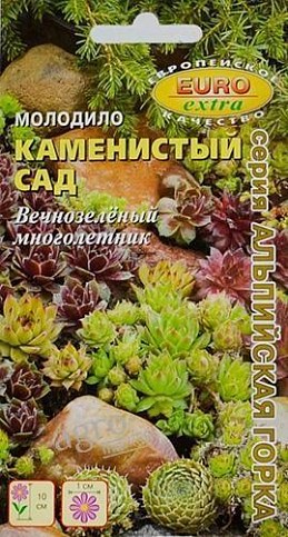 Молодило "Каменистый сад" ТМ "АЭЛИТА" 0.005г