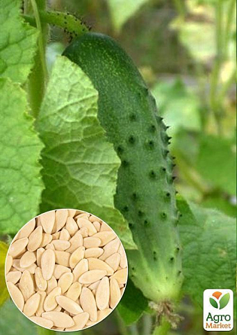 На вагу Огірок "Конкурент" ТМ "Весна" ціна за 2г