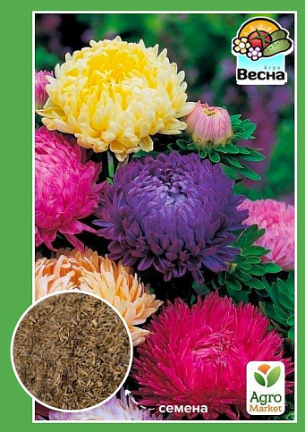 Айстра "Карликова суміш" ТМ "Весна" 0.2г