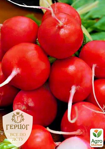 Редис "Герцог" "Гигант" ТМ "Весна" 7г