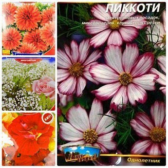Комплект насіння квітів "Казки ароматів" 5уп