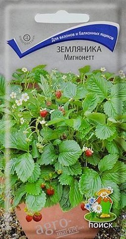 Земляника "Мигнонетт" ТМ "Поиск" 10шт