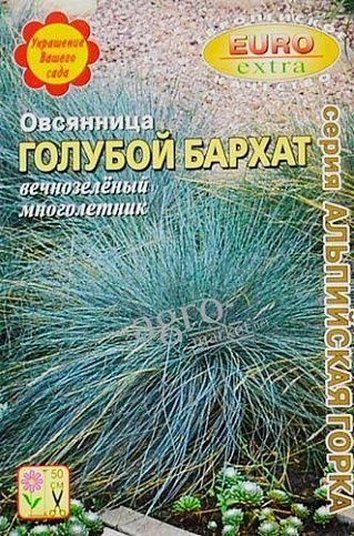 Костриця "Блакитний оксамит" ТМ "АЕЛІТА" 0.1г
