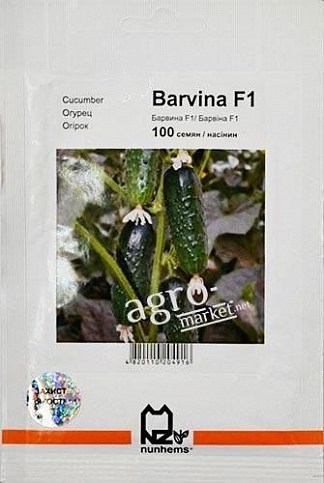 Огірок "Барвіна F1" ТМ "Nunhems" 100шт