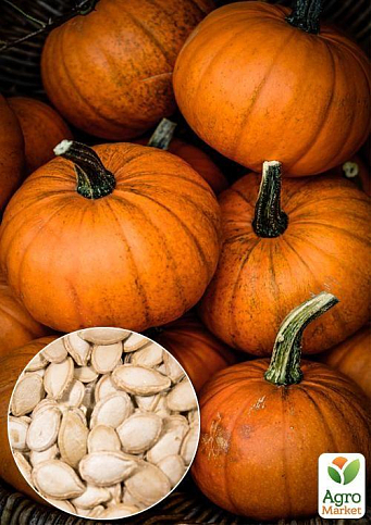 На развес Тыква "Витаминная" ТМ "Весна" цена за 10г