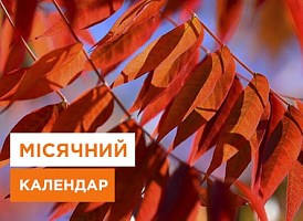 Місячний посівний календар садівника і городника на листопад - Agro-Market