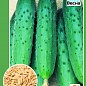 Огірок "Витончений" ТМ "Весна" 0,5г