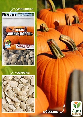 Гарбуз "Зимовий король" (Зипер) ТМ "Весна" 8г