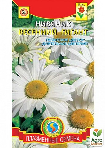 Нивяник "Весенний гигант" ТМ "Плазменные семена" 20шт