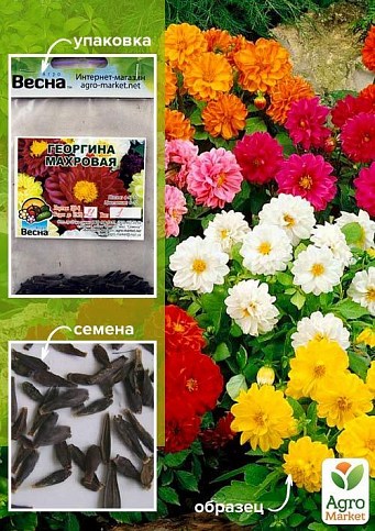Георгина "Махровая" (Зиппер) ТМ "Весна" 1г