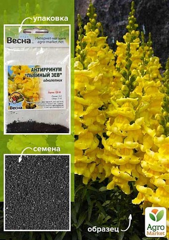 Антирринум "Львиный зев желтый" (Зипер) ТМ "Весна" 1г