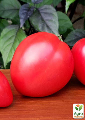 Томат гном "Червоне серце" ТМ "Vesna Select" 0.1г