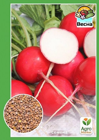Редис "Ясочка" ТМ "Весна" 2г
