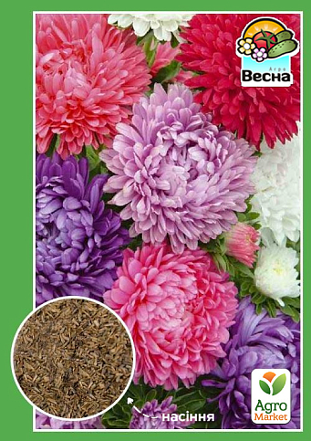 Астра "Пионовидная" (Большой пакет) ТМ "Весна" 0,5г