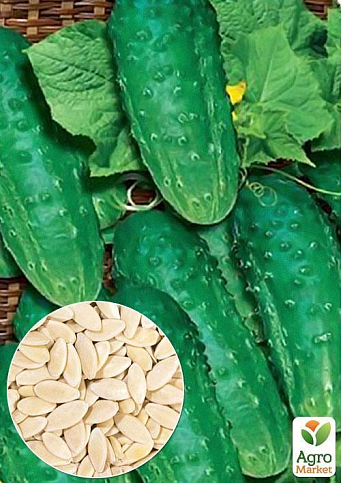 На развес Огурец "Водограй" ТМ "Весна" цена за 2г