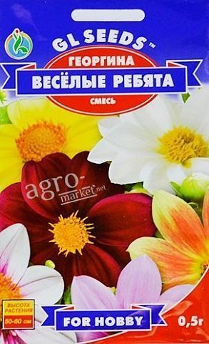 Георгина "Веселые ребята" ТМ "GL SEEDS" 0.5г
