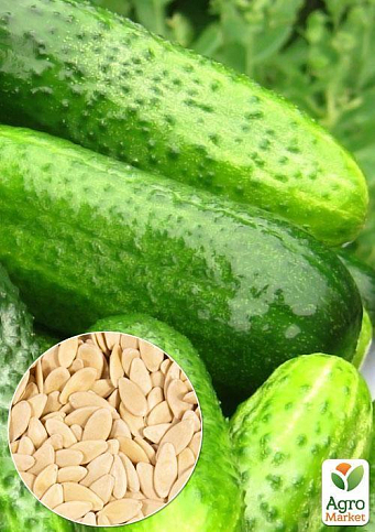 На вагу Огірок "Гейм" ТМ "Весна" ціна за 2г