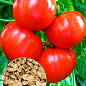 На развес Томат "Буржуй" ТМ "Весна" цена за 1г