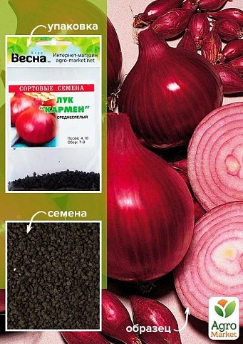 Цибуля "Кармен" (Зипер) ТМ "Весна" 3г