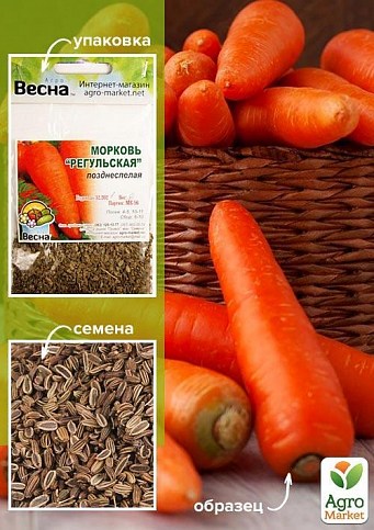 Морковь "Регульская" (Зипер) ТМ "Весна" 5г