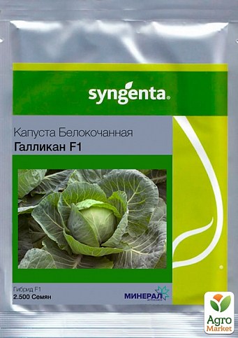 Капуста "Галікан F1" ТМ "Syngenta" 2500шт