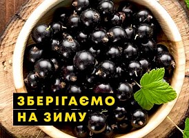 Смородина на зиму - корисні статті про садівництво від Agro-Market