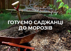 Що робити з саджанцями, якщо раптово вдарили морози | Agro-market