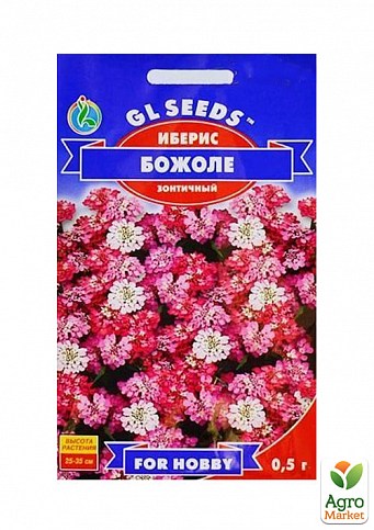 Іберіс "Божоле" ТМ "GL SEEDS" 0.5г