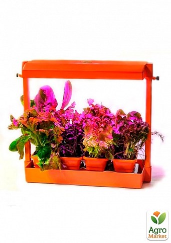 Установка "Домашній міні-город Фіто" помаранчевий - фото 3