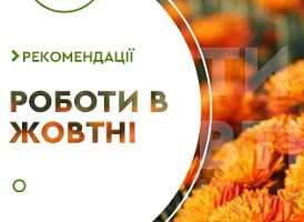 Садові роботи на жовтень - корисні статті про садівництво від Agro-Market