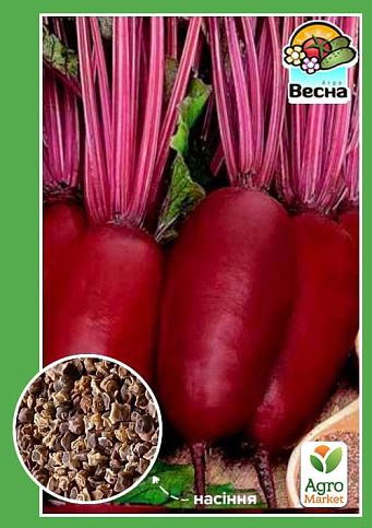 Свекла "Кедри" ТМ "Весна" 2г