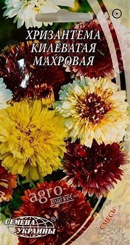 Хризантема "Килеватая махровая" ТМ "Семена Украины" 0.3г