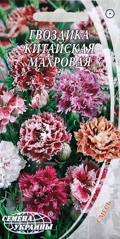 Гвоздика "Китайская махровая" ТМ "Семена Украины" 0.3г