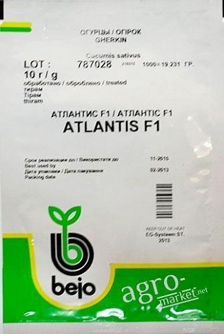 Огірок "Атлантіс F1" ТМ "Bejo" 10г
