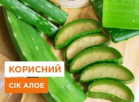 Що можна лікувати соком алое - корисні статті про садівництво від Agro-Market