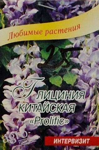 Гліцинія китайська "Prolific" ТМ "інтервізії" 2шт