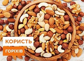 Користь горіхів - корисні статті про садівництво від Agro-Market