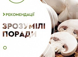 Як вирощувати печериці - корисні статті про садівництво від Agro-Market