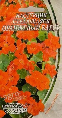 Настурция стелющаяся "Оранжевый блеск" ТМ "Семена Украины" 1.5г
